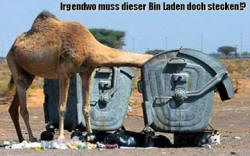 Bin Laden