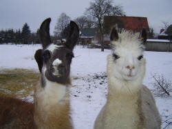 Ria und Gwendolin