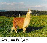 Ronny