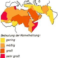Verbreitungsgebiet Kamele