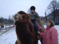 Reiten