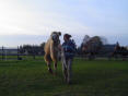 Training